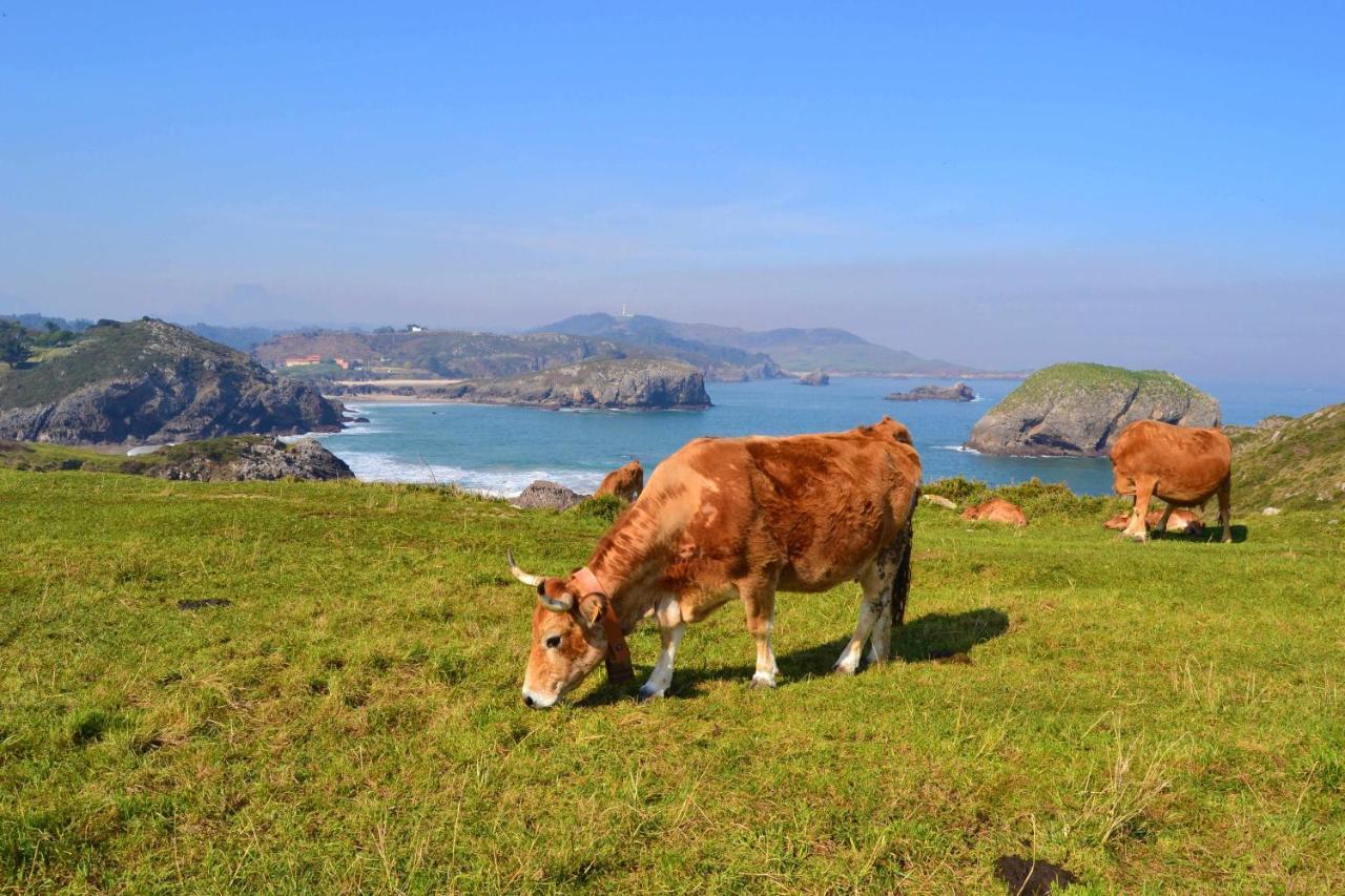 Casa Las Hortensias Quintana Llanes Eksteriør billede